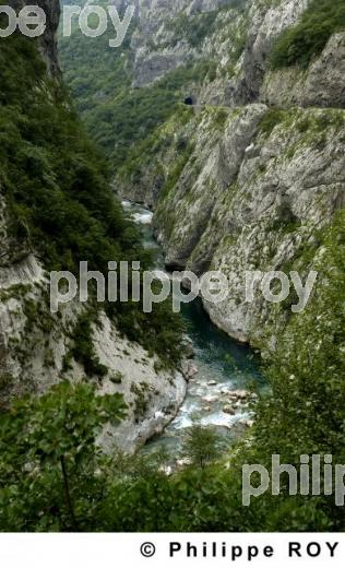 Les gorges de Moraca - Montenegro (YU001101.jpg)