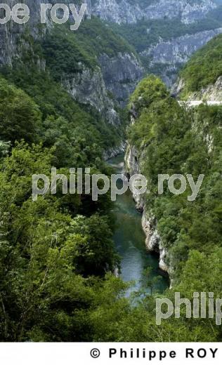 Les gorges de Moraca - Montenegro (YU001102.jpg)