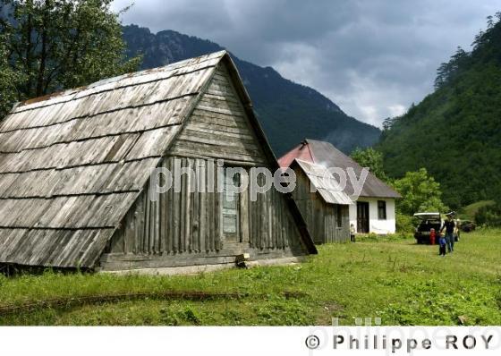 Parc national de Biogradska Gora - Montenegro (YU001112.jpg)