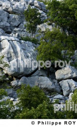 Parc national du Lovcen -  Montenegro (YU001124.jpg)