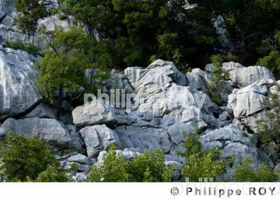 Parc national du Lovcen -  Montenegro (YU001125.jpg)