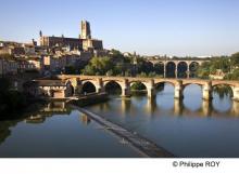 Albi