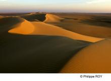 Libya