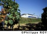 00E01437.jpg