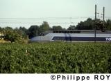 00E01438.jpg
