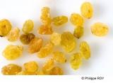 00G01420.jpg