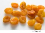 00G01439.jpg