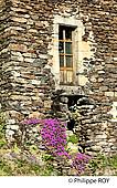 07F00404.jpg