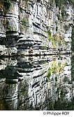 07F00610.jpg