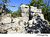 07F00916.jpg