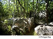 07F00929.jpg