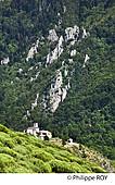07F01321.jpg