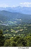 09F00504.jpg