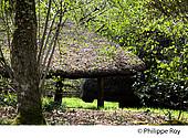 16F00420.jpg