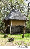 16F00440.jpg
