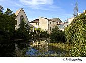16F01239.jpg