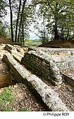 16F01440.jpg