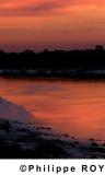 17F02935.jpg