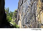 19F03421.jpg