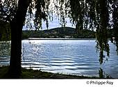 19F03520.jpg