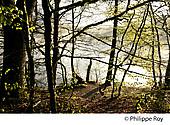 19F03524.jpg