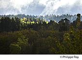 19F03603.jpg