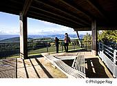 19F03810.jpg