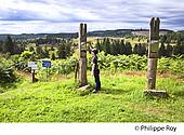 19F04013.jpg