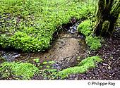 19F04039.jpg
