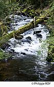 19F04340.jpg