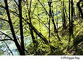 19F05128.jpg