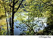 19F05130.jpg