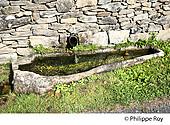 19F05239.jpg