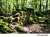 19F05310.jpg