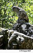 19F05313.jpg