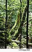 19F05315.jpg