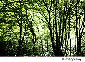 19F05335.jpg