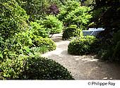 19F05504.jpg
