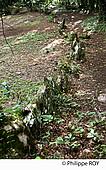 19F06408.jpg