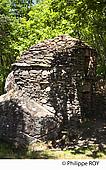 19F06411.jpg