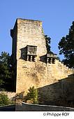 24F03334.jpg