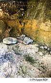 24F03635.jpg