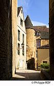 24F06229.jpg