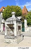 24F08537.jpg