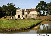 33F17234.jpg