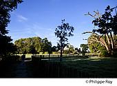 33F17604.jpg