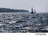 33F17735.jpg