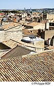 33F21224.jpg