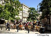 33F21702.jpg