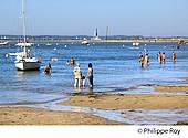33F27829.jpg